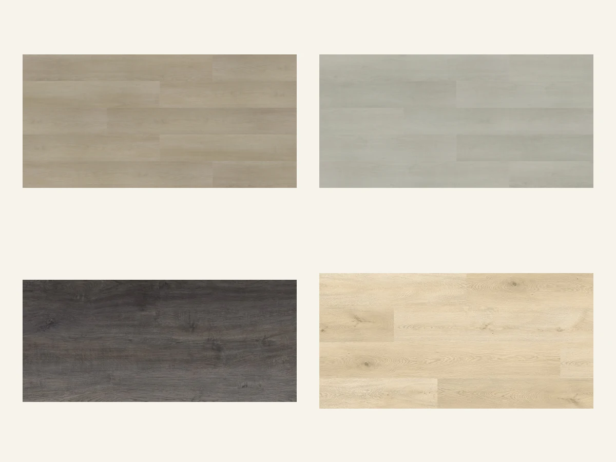 TIMELESS SPC Collection